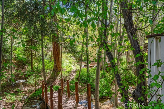 29613 Hook Creek Road, Cedar Glen CA: https://media.crmls.org/medias/88014f40-d4fc-47d3-9ddd-f0332e02b80c.jpg