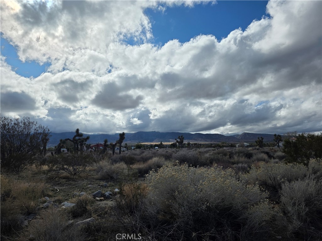 MLS #HD25262766 image #5