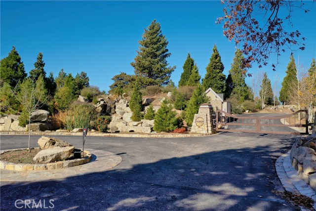 202 Hidden Forest Road, Lake Arrowhead, California 92352, ,Land,For Sale,202 Hidden Forest Road,CREV23214554