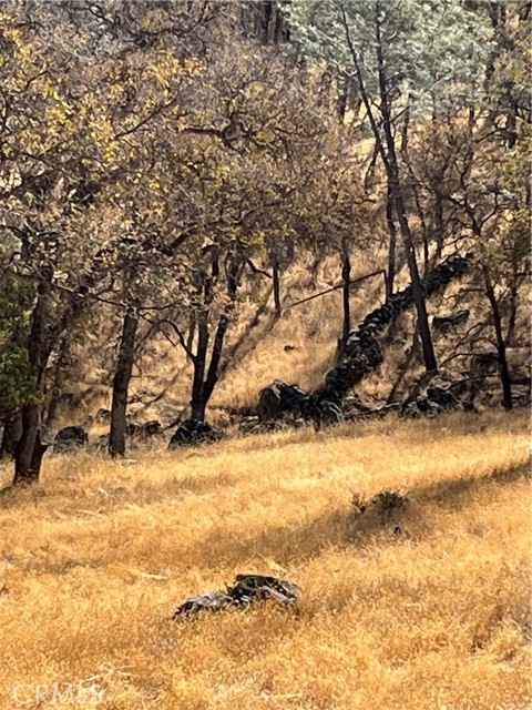 1484 Oregon Gulch Road, Oroville CA: https://media.crmls.org/medias/880ec18f-0f46-41ec-a371-3f398d086958.jpg