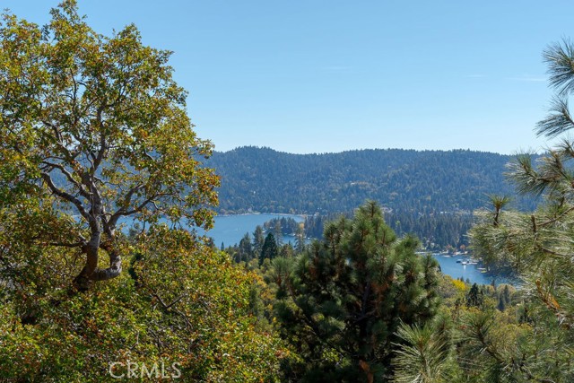 Detail Gallery Image 48 of 51 For 27721 Caribou Dr, Lake Arrowhead,  CA 92352 - 3 Beds | 3 Baths