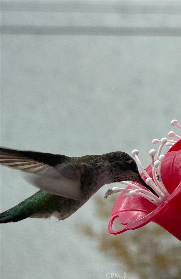 https://media.crmls.org/medias/8810f119-0e32-43f6-8be7-d7d9c87956c8.jpg?preset=X-Large