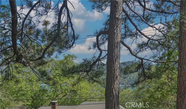 Detail Gallery Image 32 of 36 For 28680 Zion Dr, Lake Arrowhead,  CA 92352 - 3 Beds | 3/1 Baths