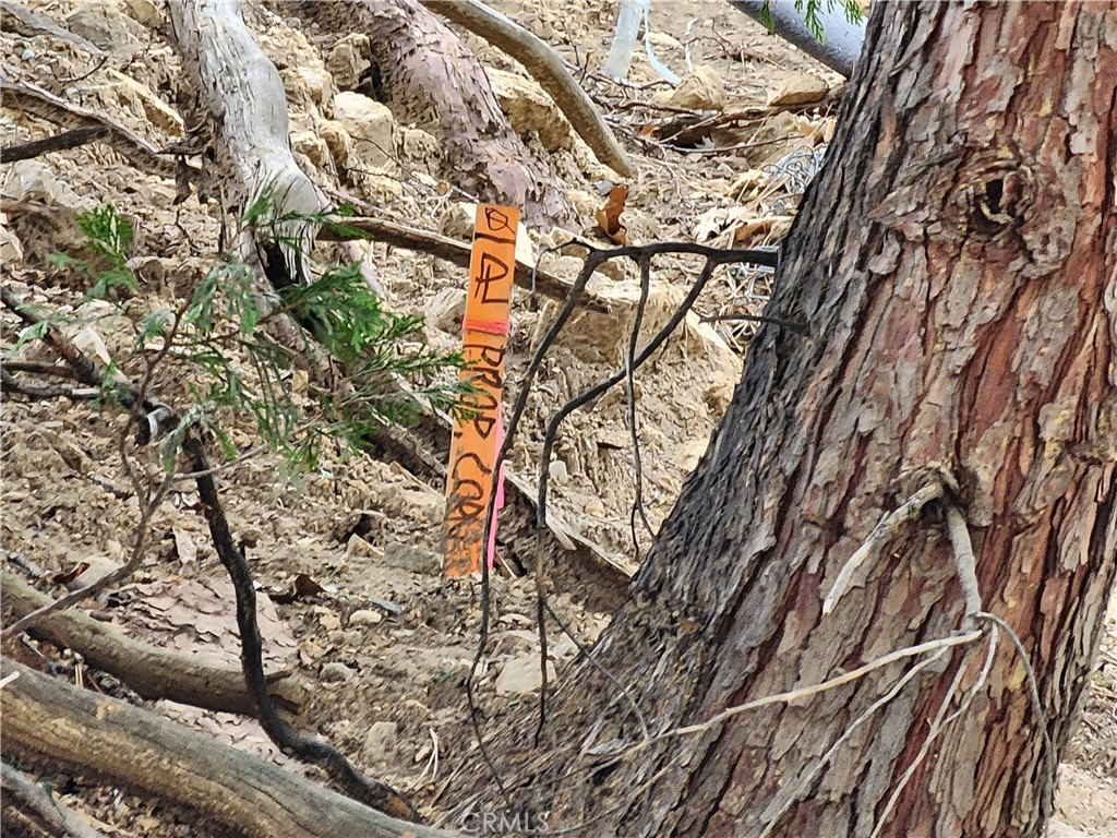 MLS #IG25045374 image #21