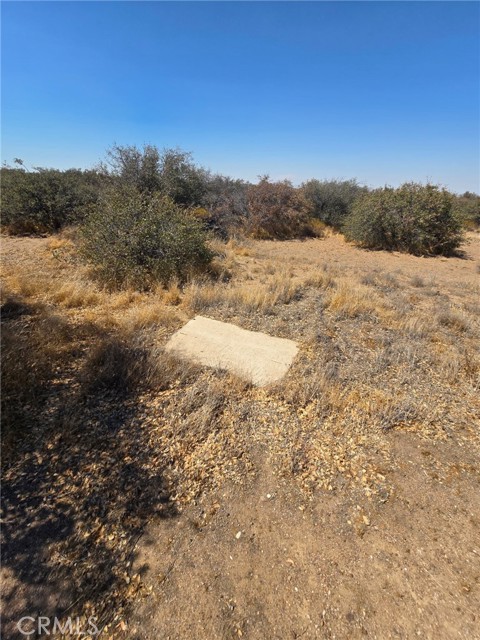 9602 Cedar Street, Phelan CA: https://media.crmls.org/medias/881d063e-b6b8-425d-ade5-3d1fe965df96.jpg