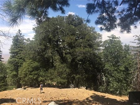 MLS #SW25033105 image #2