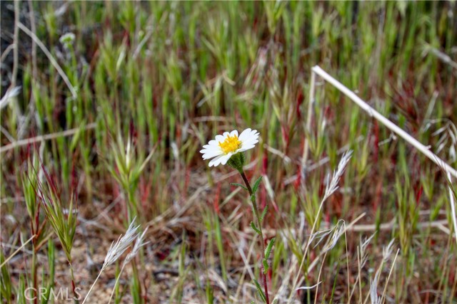 Detail Gallery Image 15 of 33 For 27 Vista Rd, Pioneertown,  CA 92356 - – Beds | – Baths