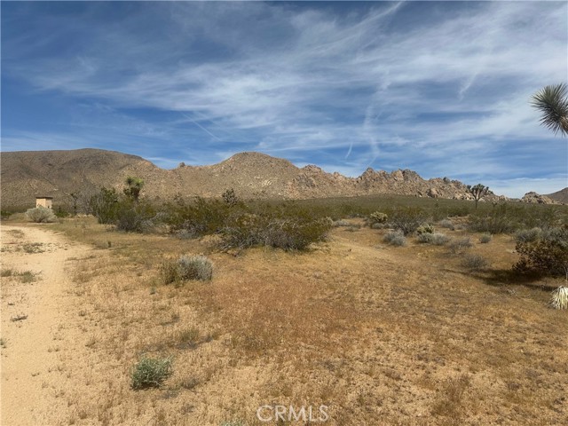 Detail Gallery Image 10 of 19 For 26705 Corwin, Apple Valley,  CA 92307 - – Beds | – Baths