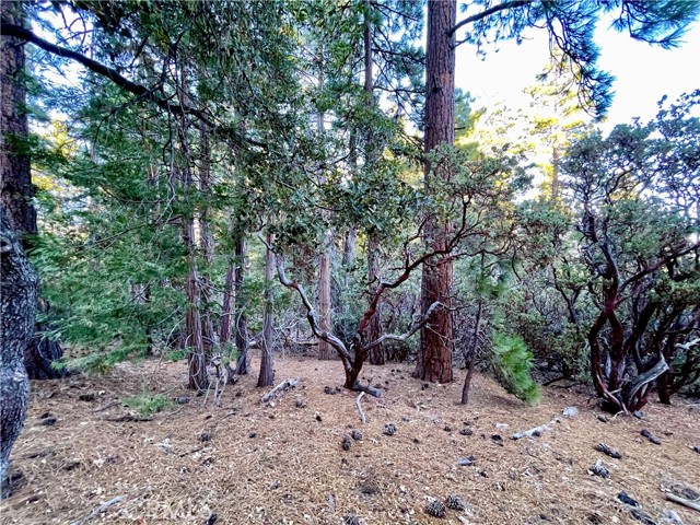 Detail Gallery Image 4 of 14 For 0 Overlook, Idyllwild,  CA 92549 - – Beds | – Baths