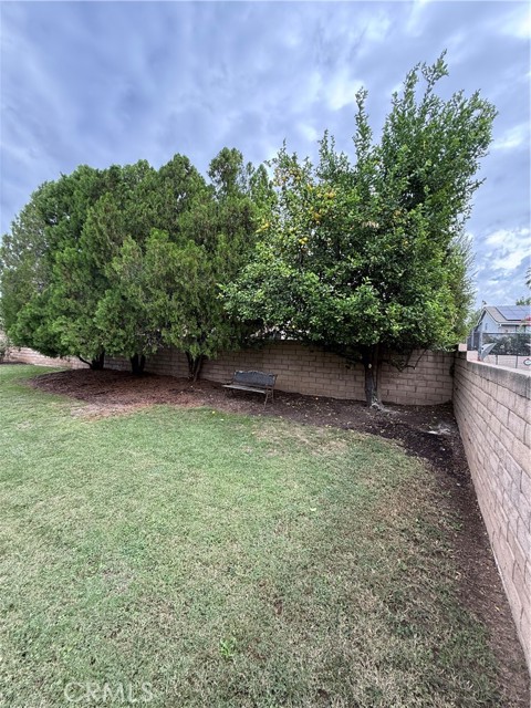 23317 Saticoy Street photo 11