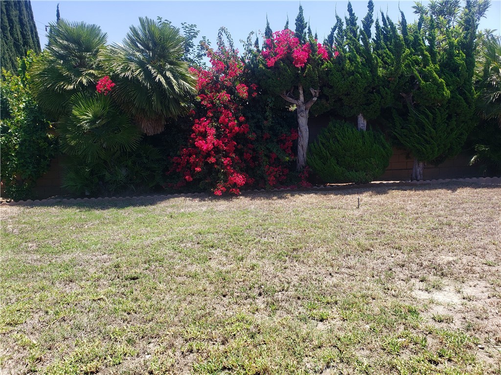 https://media.crmls.org/medias/882ab88c-aa6d-4150-8155-722054dff909.jpg?preset=X-Large