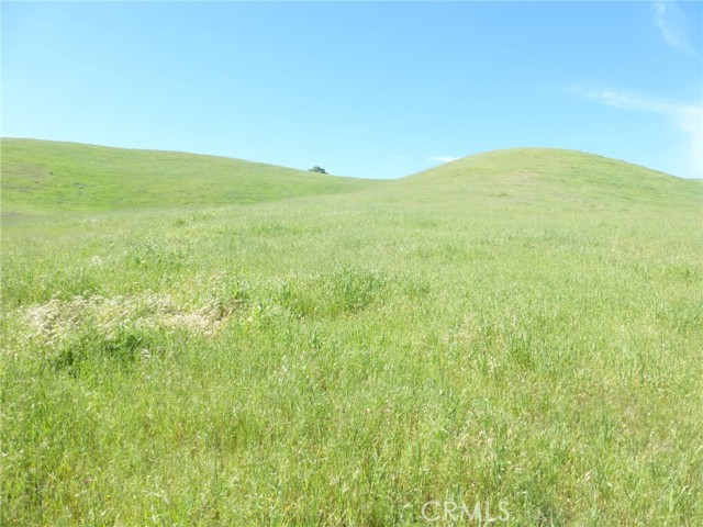 Detail Gallery Image 41 of 44 For 0 Douglas Rd. (Lot 34), San Miguel,  CA 93451 - – Beds | – Baths