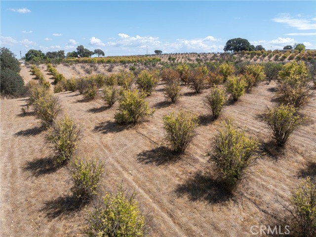 27 Wellsona Road, Paso Robles CA: https://media.crmls.org/medias/883fc89c-7dfd-4185-97fd-6ff7142bfcb4.jpg