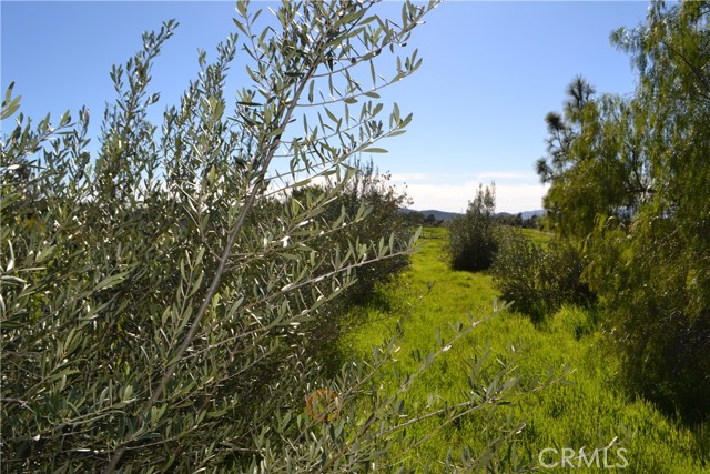 Image 16 of 38 For 29580 Patelli Way