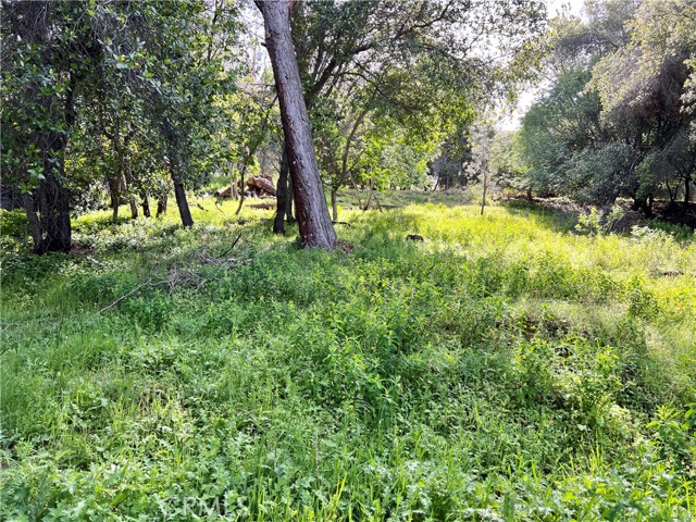 3356 Southlake, Kelseyville, CA, 95451 3356 Southlake, Kelseyville, CA, 95451
