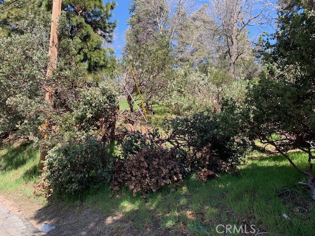 0 Arth Drive, Crestline, California 92325, ,Land,For Sale,0 Arth Drive,CRHD23124328