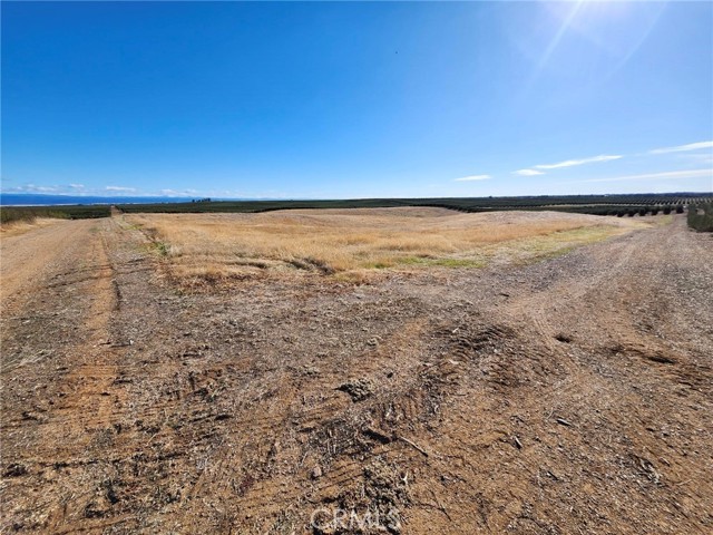 Detail Gallery Image 22 of 22 For 0 087-250-008-000, Corning,  CA 96021 - – Beds | – Baths