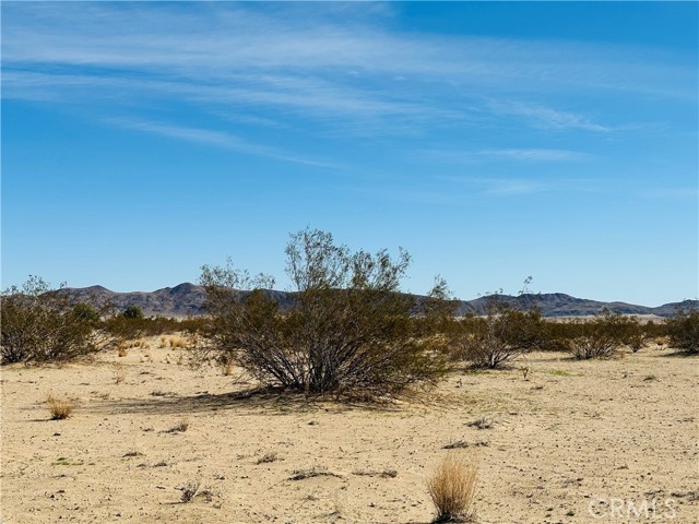 Detail Gallery Image 5 of 10 For 2 Sun Loma Rd, Joshua Tree,  CA 92252 - – Beds | – Baths