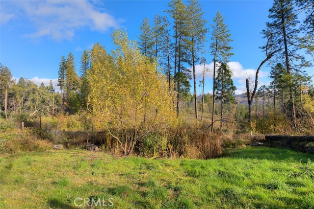 Detail Gallery Image 37 of 50 For 13159 Mullen, Oroville,  CA 95965 - 3 Beds | 2/1 Baths