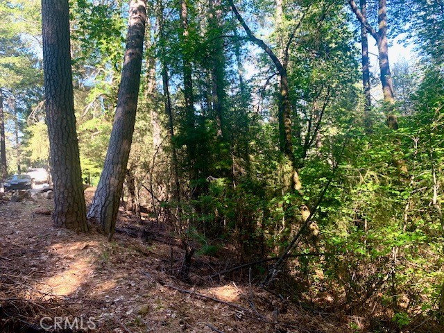 Details for 17325 Fernbrook, Middletown, CA 95461