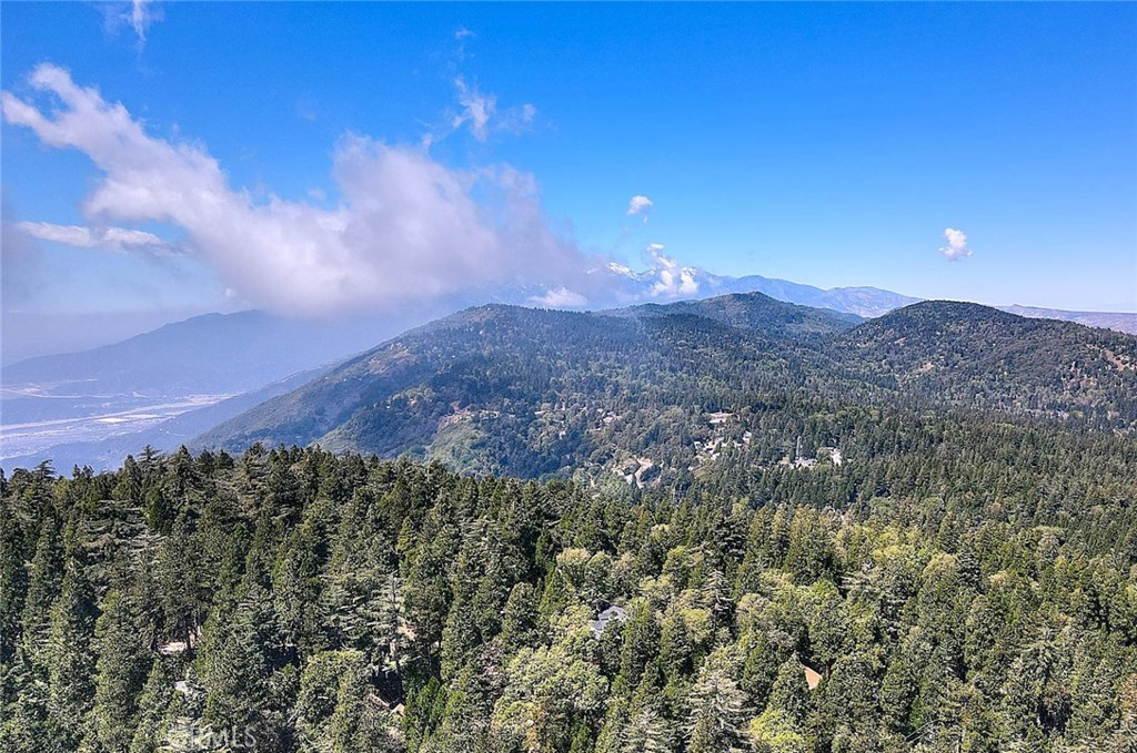 https://media.crmls.org/medias/88632d64-4129-4ca7-846b-e44cce710164.jpg?preset=X-Large