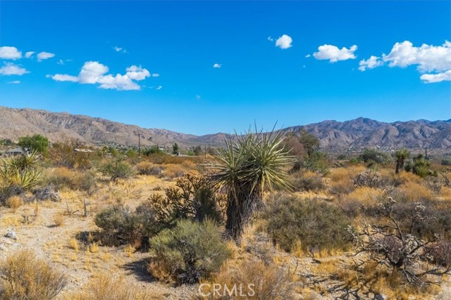 Detail Gallery Image 15 of 34 For 9457 Fobes Rd, Morongo Valley,  CA 92256 - – Beds | – Baths