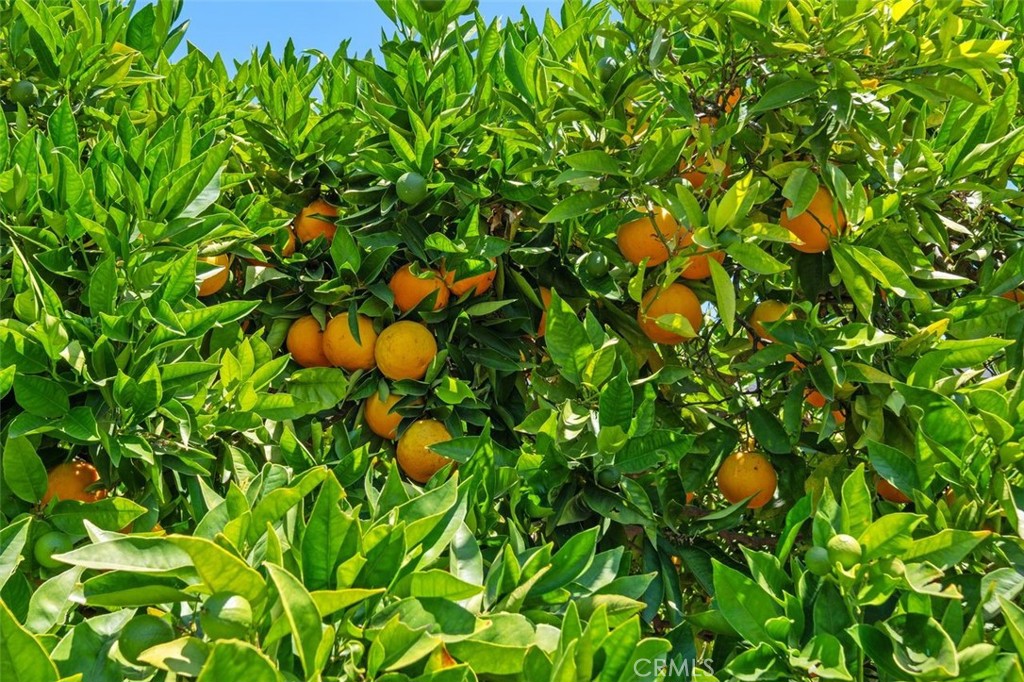 https://media.crmls.org/medias/88646f77-86ca-42c4-8658-3be695b77b87.jpg?preset=X-Large