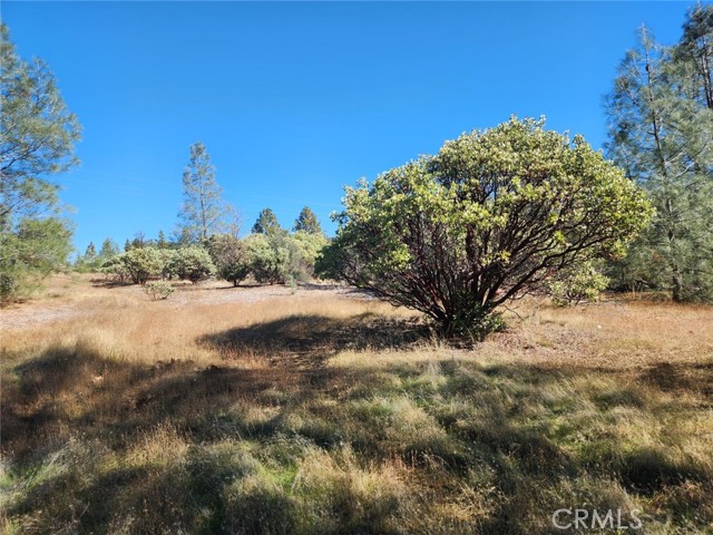 Detail Gallery Image 17 of 32 For 14444 Labadie, Dobbins,  CA 95935 - – Beds | – Baths