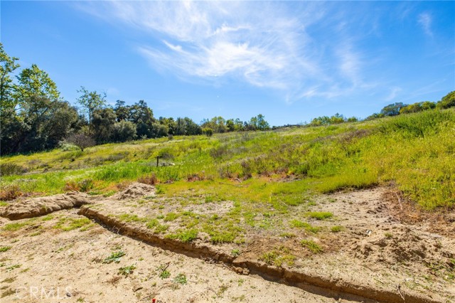 Detail Gallery Image 48 of 54 For 1720 Vista Del Lago #2,  Fallbrook,  CA 92028 - 3 Beds | 2 Baths