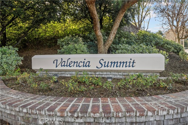 Image 34 of 43 For 26334 Emerald Dove