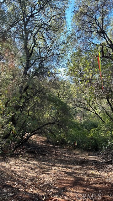 0 Rich Gulch Road, Yankee Hill, California 95965, ,Land,For Sale,0 Rich Gulch Road,CRSN23101845