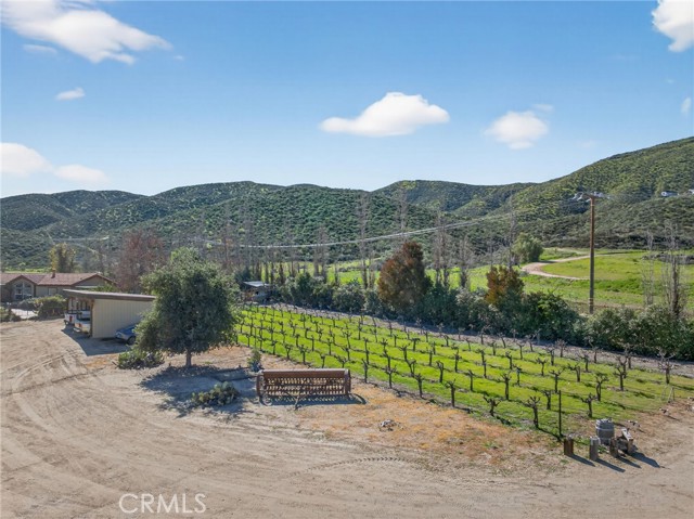 Image 5 of 75 For 31420 Palm Avenue