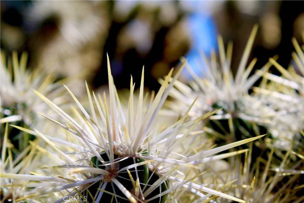 MLS #JT25263830 image #26