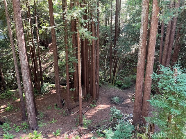 Detail Gallery Image 23 of 40 For 16125 Bittner Rd, Occidental,  CA 95465 - 4 Beds | 2 Baths