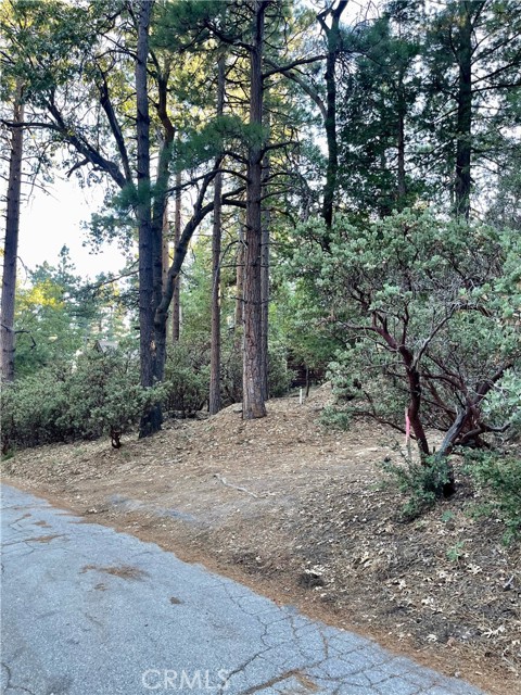 Detail Gallery Image 4 of 4 For 0 Overlook, Idyllwild,  CA 92549 - – Beds | – Baths