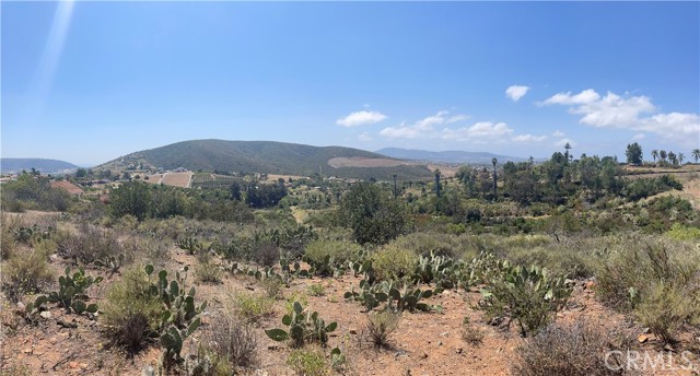 1624 Siddall Drive, Vista CA: https://media.crmls.org/medias/888ff41d-c2e2-4d09-b4c1-5a15123ef952.jpg