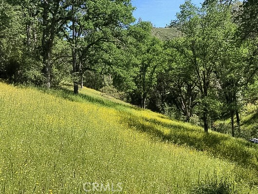 Detail Gallery Image 44 of 75 For 4743 Buffalo Gulch Rd, Midpines,  CA 95345 - – Beds | – Baths