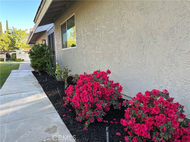 Image 9 of 67 For 5315 Cantante