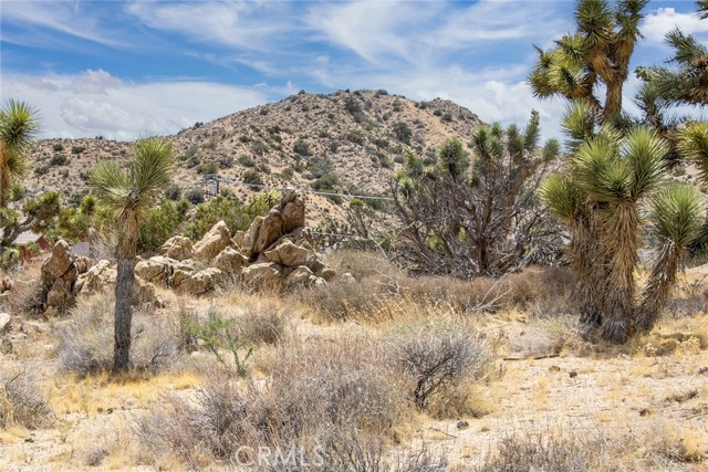8385 Elk Court, Yucca Valley CA: https://media.crmls.org/medias/8893ffd6-a093-4d27-acec-3de23728ca8e.jpg