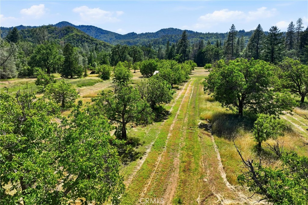 https://media.crmls.org/medias/8894dcd0-b4ce-4732-be79-cd35861cad28.jpg?preset=X-Large