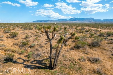 0 Vac/Cor Avenue U10/171 Ste, Other - See Remarks, California 93591, ,Land,For Sale,0 Vac/Cor Avenue U10/171 Ste,CREV23190144