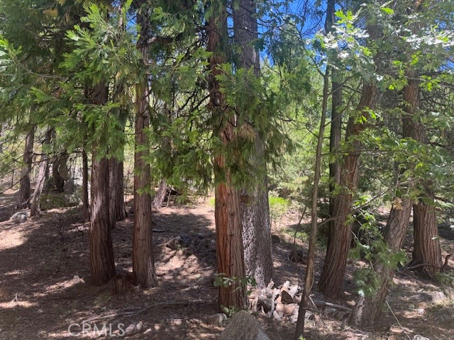 27476 Cedarwood Court, Lake Arrowhead CA: https://media.crmls.org/medias/8897e173-28ca-4ff5-8e00-65b43296fd91.jpg