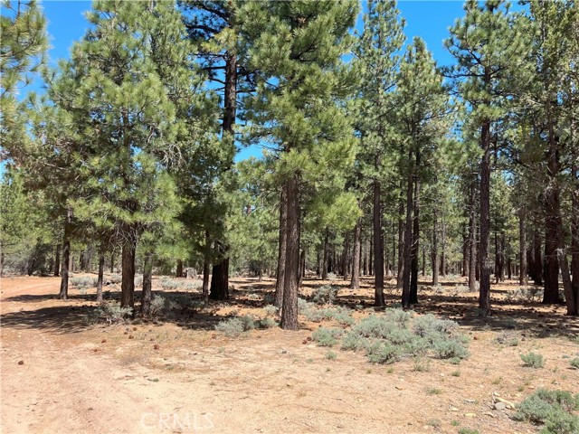 0 Hwy 38, Big Bear CA: https://media.crmls.org/medias/889ddb78-1693-43fc-8aca-a343a74ec8b4.jpg
