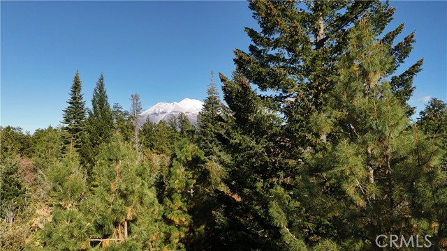 Detail Gallery Image 5 of 22 For 0 Muledeer Rd., Weed,  CA 96094 - – Beds | – Baths