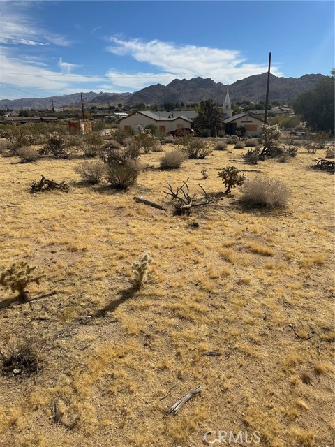 0 E Parkway, Joshua Tree, California 92252, ,Land,For Sale,0 E Parkway,CRJT23211794