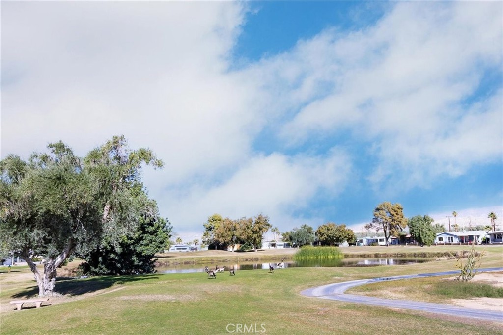 MLS #SW25267644 image #37