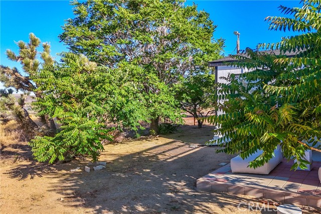 Detail Gallery Image 60 of 75 For 51130 Burns Canyon Rd, Pioneertown,  CA 92268 - 3 Beds | 2 Baths