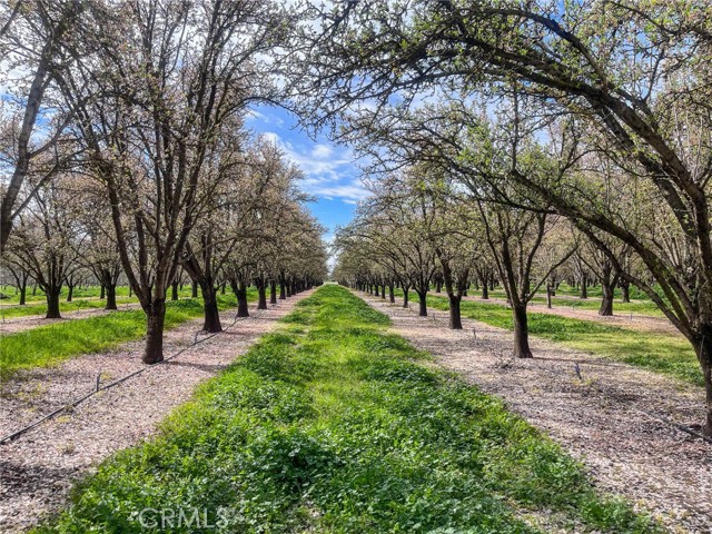 3271 Chico River Rd, Chico, CA, 95928 3271 Chico River Rd, Chico, CA, 95928