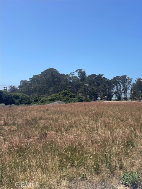 1711 5th Street, Los Osos CA: https://media.crmls.org/medias/88b0644b-e662-4e16-86d8-bf8d942fbb7a.jpg