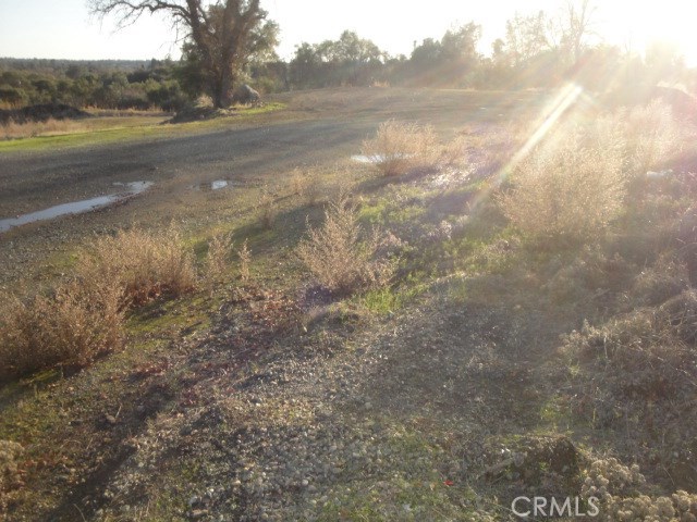 4288 Olive Highway, Oroville, California 95966, ,Land,For Sale,4288 Olive Highway,CROR19284436